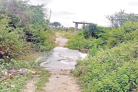 17-gdg-sambhapur 3