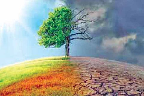 Climate