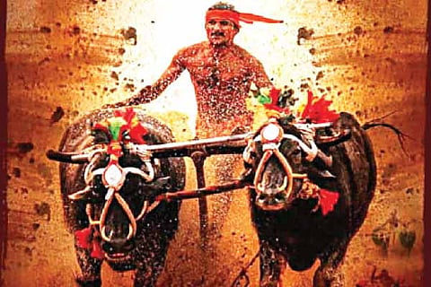 Kambala