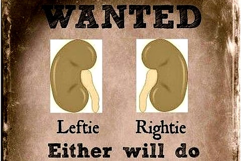Kidney