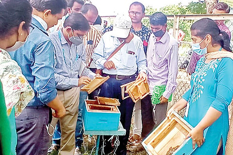 Raichur Scientific Honey Farm Training Camp
