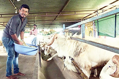 Tagaru
