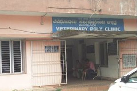 Veterinary hospital