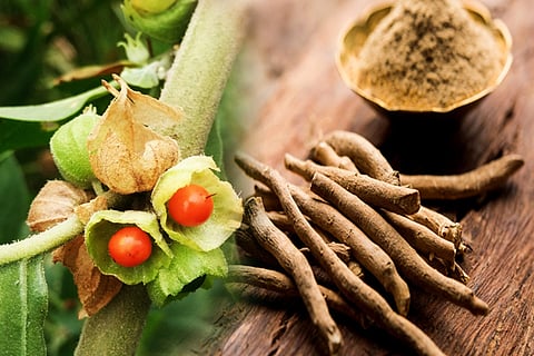 ashwagandha