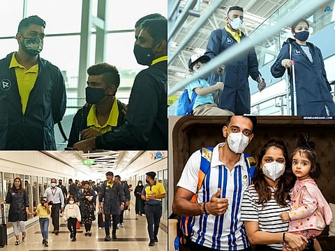 csk and mumbia ipl players for web