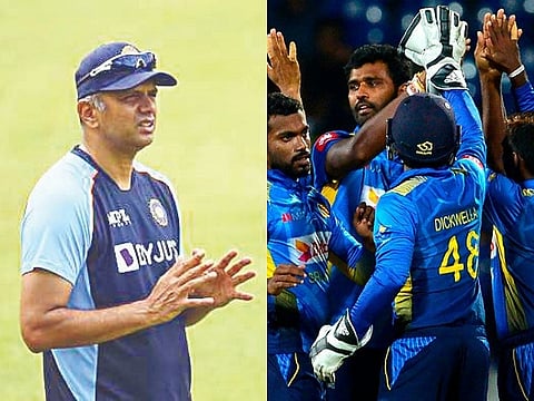 dravid web