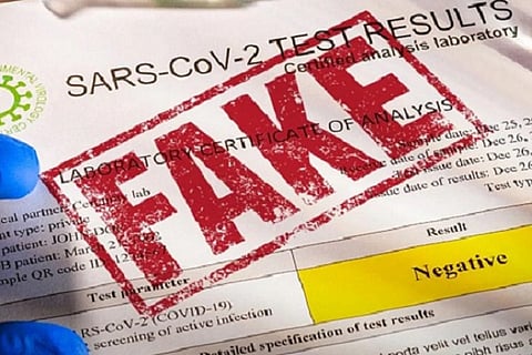 fakereport