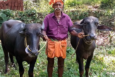 guruvappa