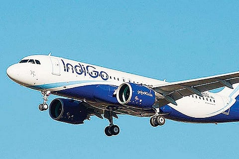 indigo