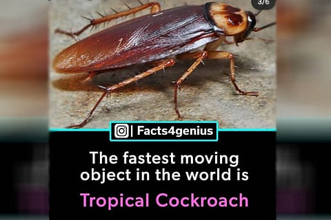 moving Object