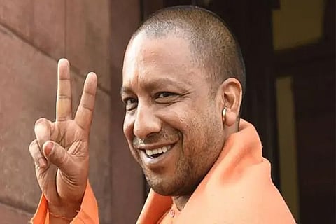 pic yogi