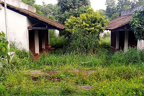 pilikula