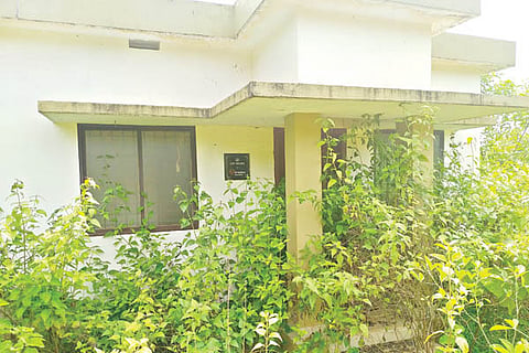 webbb
