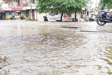 2109 Hospet Rain