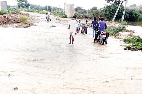 Shashidhara L