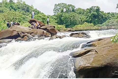 Arbi Falls Moodbidre