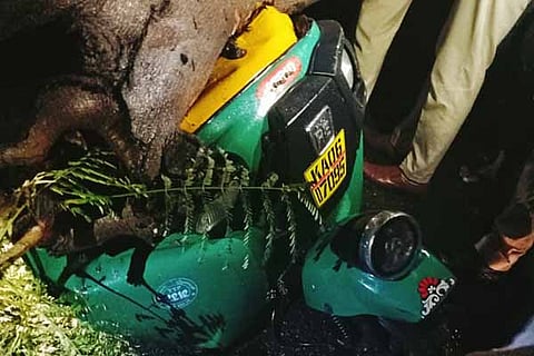 Auto Driver