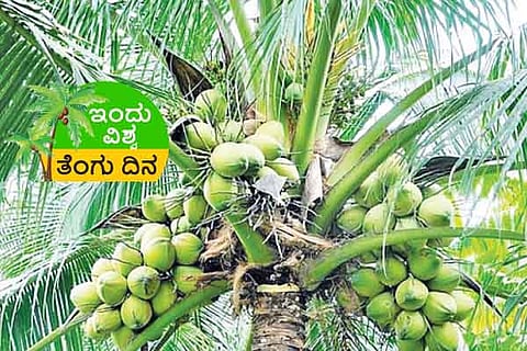 Coconut Day
