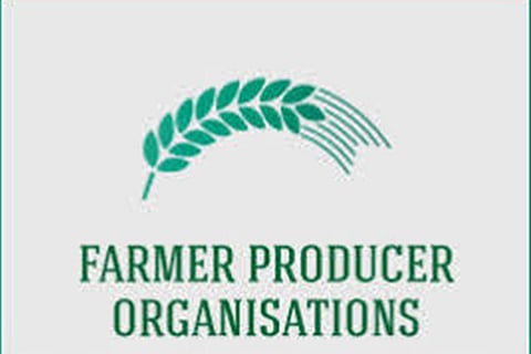 FPO