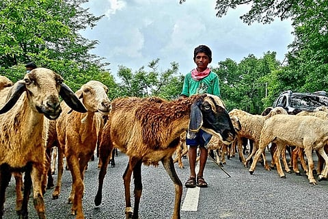KURI