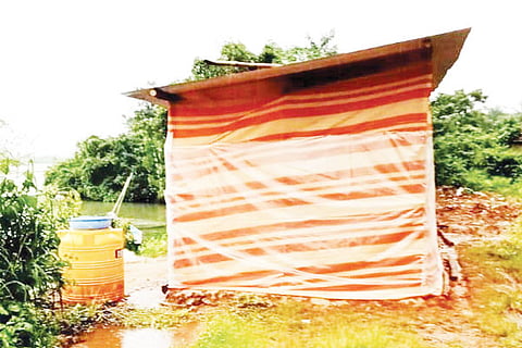 Pancha gangavali