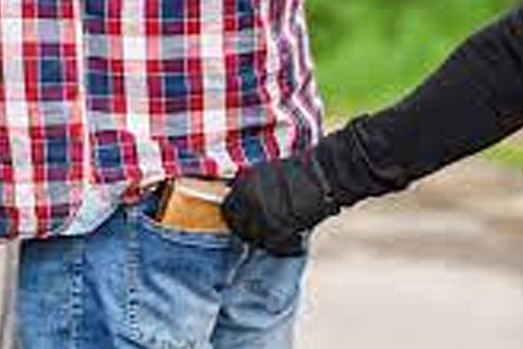 Pick Pocketer