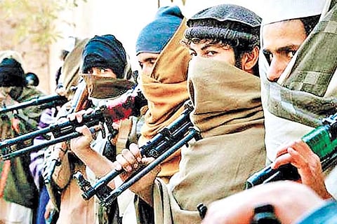 Terrorist