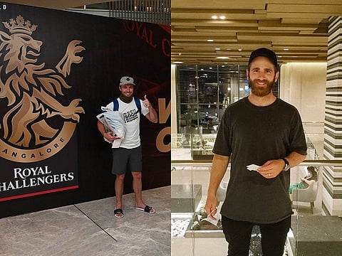 abd villers and kane williamson for web