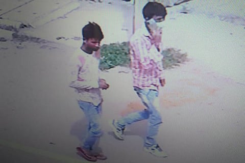bagariya pic