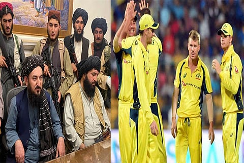 cricket pic