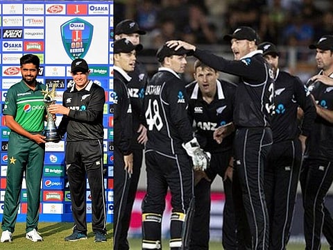 cricket web