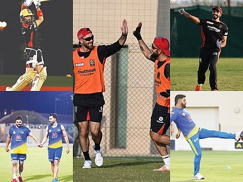 csk and rcb for web