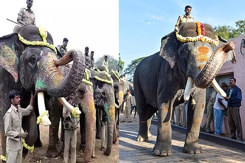dasara