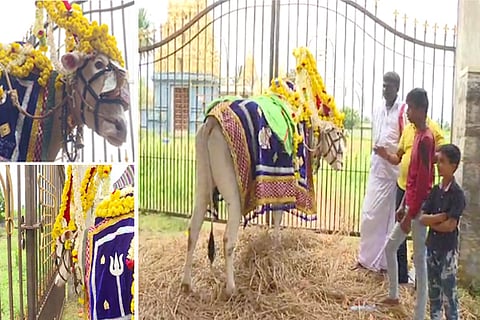 doddarasikere basappa
