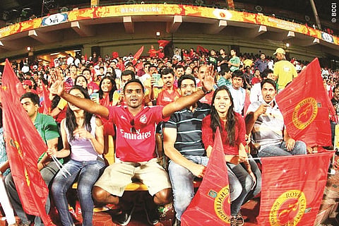 ipl fans for web
