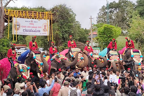 mysore dasara