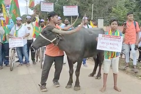 protest