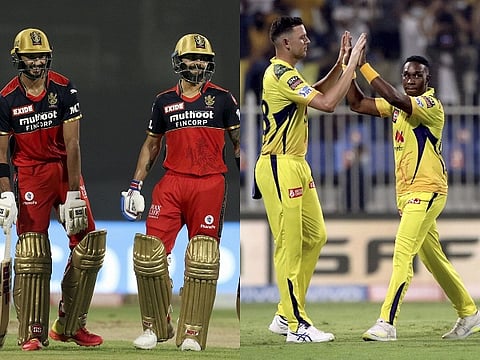 rcb and csk for web