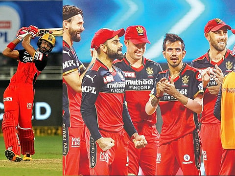 rcb ipl web