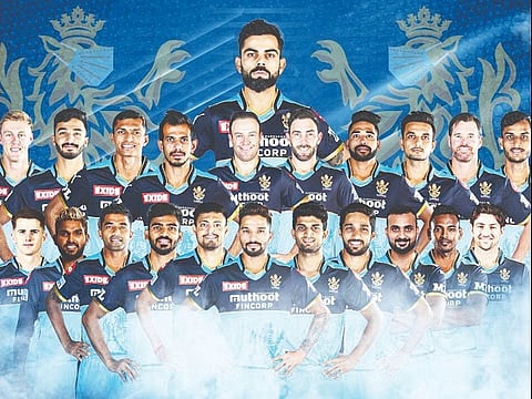 rcb vs kkr web