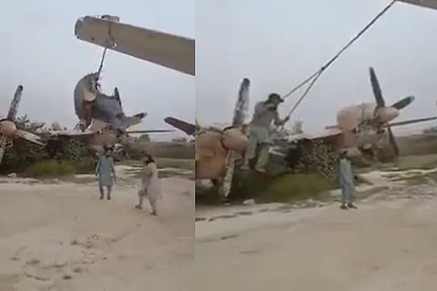 talibani