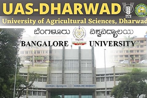 university