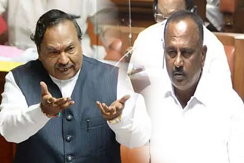 vidhanasabhe