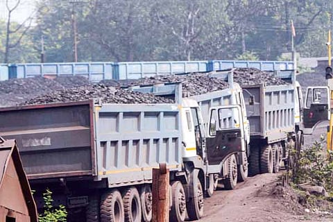 Coal