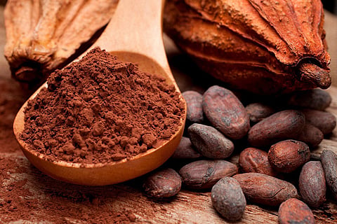 Cocoa Chocolate