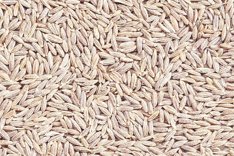 Cumin