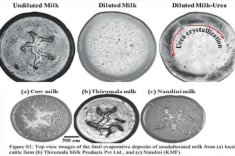 Milk New