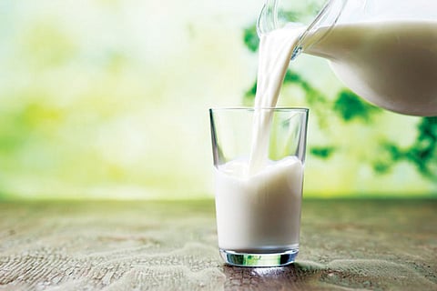 Milk