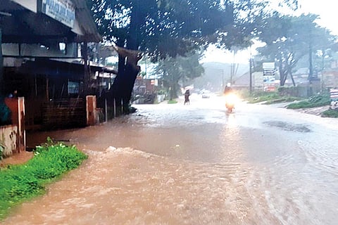 RAIN NEW