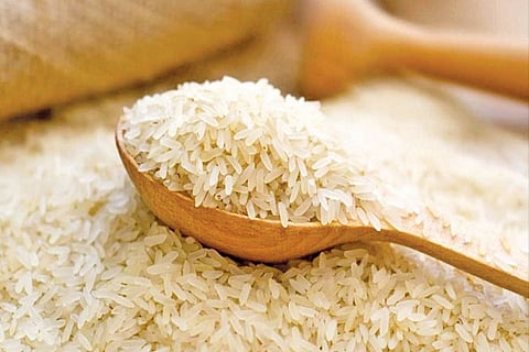 Rice